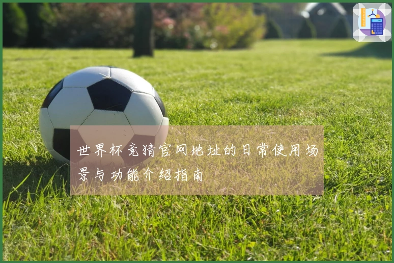 世界杯竞猜官网地址的日常使用场景与功能介绍指南