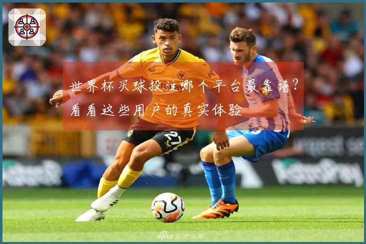 世界杯买球投注哪个平台最靠谱？看看这些用户的真实体验