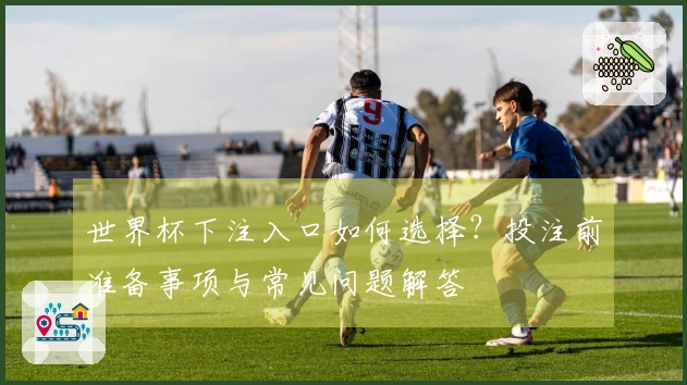 世界杯下注入口如何选择？投注前准备事项与常见问题解答
