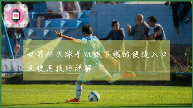 世界杯买球手机版下载的便捷入口及使用技巧详解