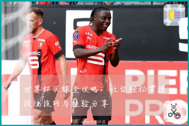 世界杯买球全攻略，让你轻松掌握投注技巧与经验分享