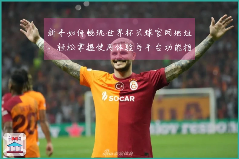 新手如何畅玩世界杯买球官网地址,轻松掌握使用体验与平台功能指南