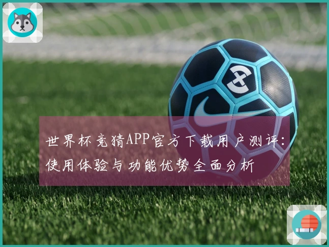 世界杯竞猜APP官方下载用户测评：使用体验与功能优势全面分析