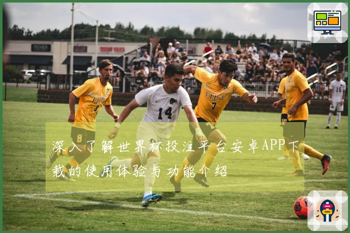 深入了解世界杯投注平台安卓APP下载的使用体验与功能介绍