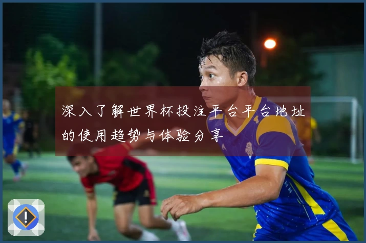 深入了解世界杯投注平台平台地址的使用趋势与体验分享