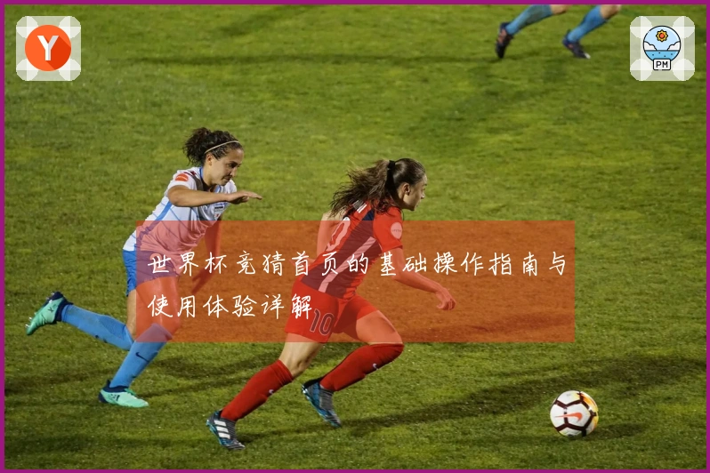 世界杯竞猜首页的基础操作指南与使用体验详解
