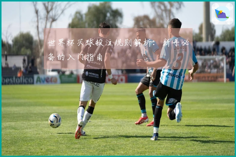 世界杯买球投注规则解析：新手必备的入门指南