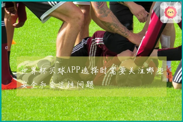 世界杯买球APP选择时需要关注哪些安全和合法性问题