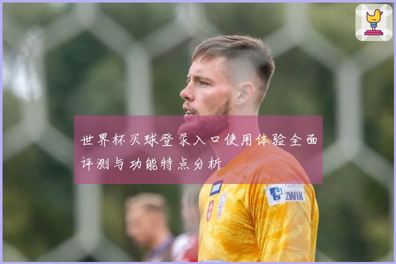 世界杯买球登录入口使用体验全面评测与功能特点分析