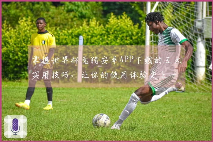 掌握世界杯竞猜安卓APP下载的五大实用技巧，让你的使用体验更上一层楼