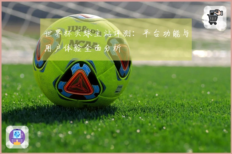 世界杯买球主站评测：平台功能与用户体验全面分析